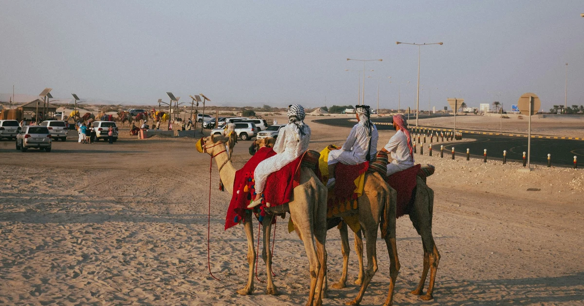 Three riders on decorated camels at Sealine near Mesaieed, with parked 4x4s and the camel stands behind